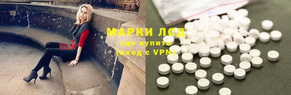 шишки Надым