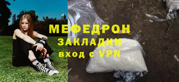 шишки Надым