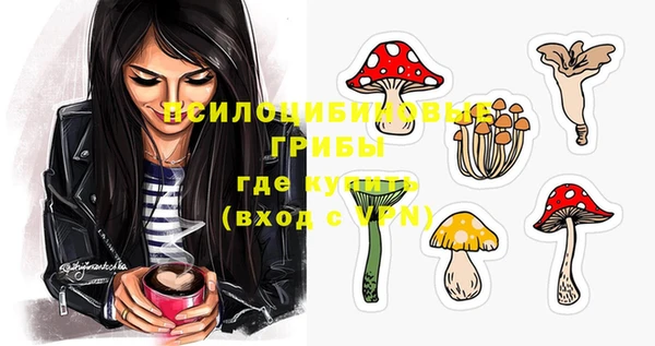 шишки Надым
