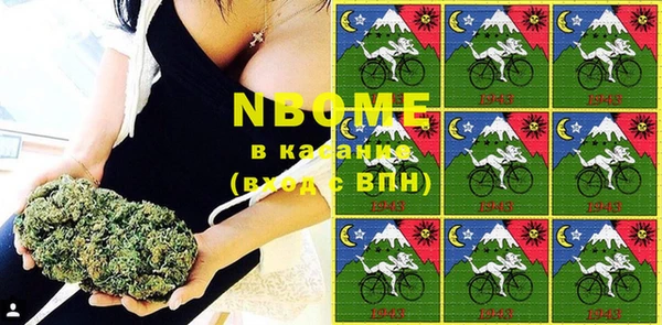 шишки Надым